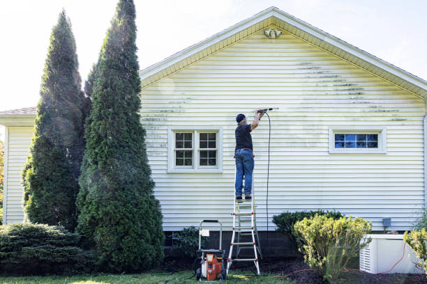 Best House Exterior Washing  in Central, TN